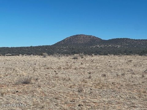 Seligman, AZ Grassy Land