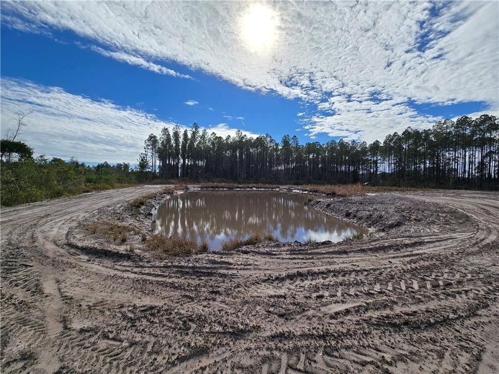 Picture 8