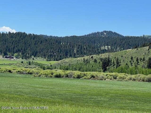 Afton Land with Creek Access