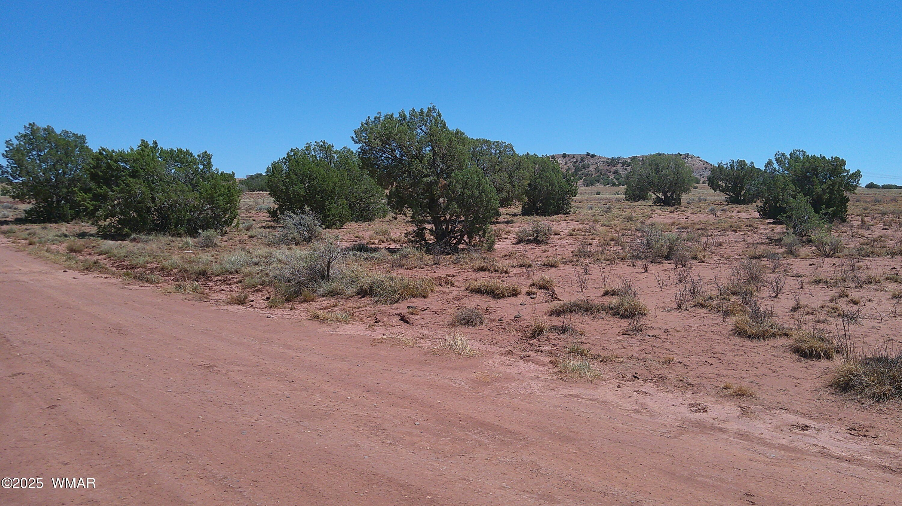 10 Acres in Concho, AZ