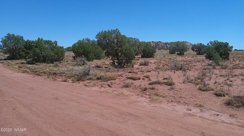 Concho, AZ 10-Acre Land