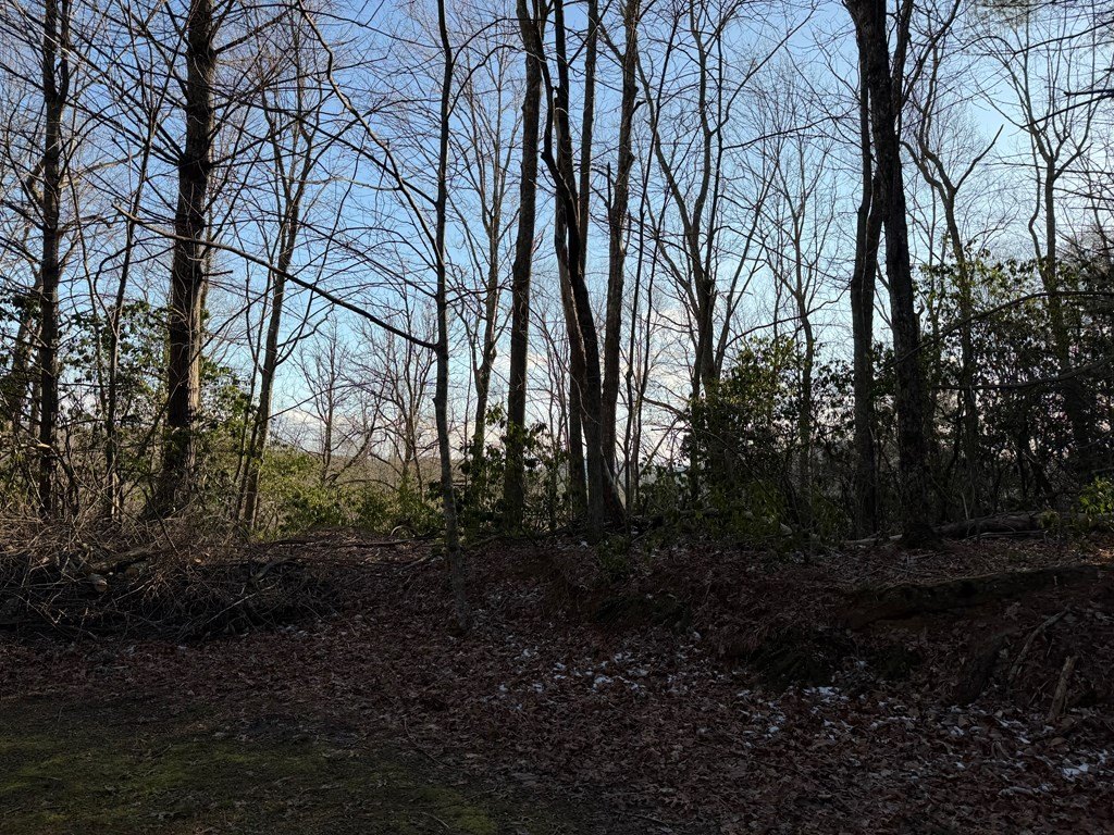Picture 17