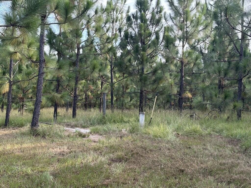Picture 12