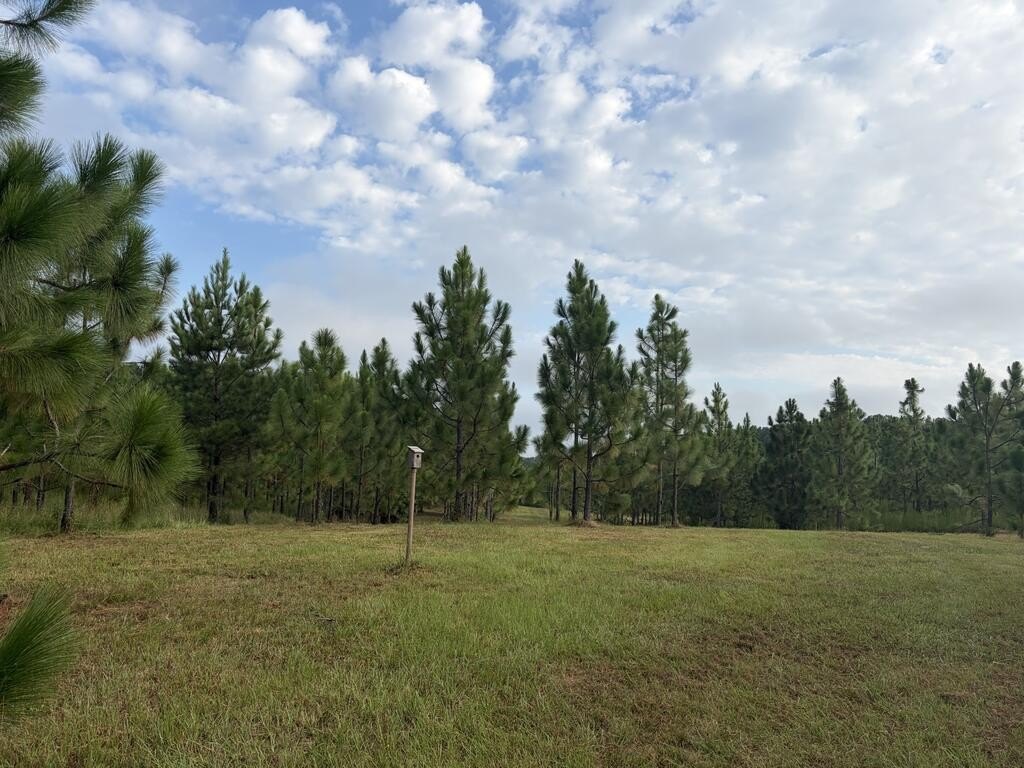 Picture 6