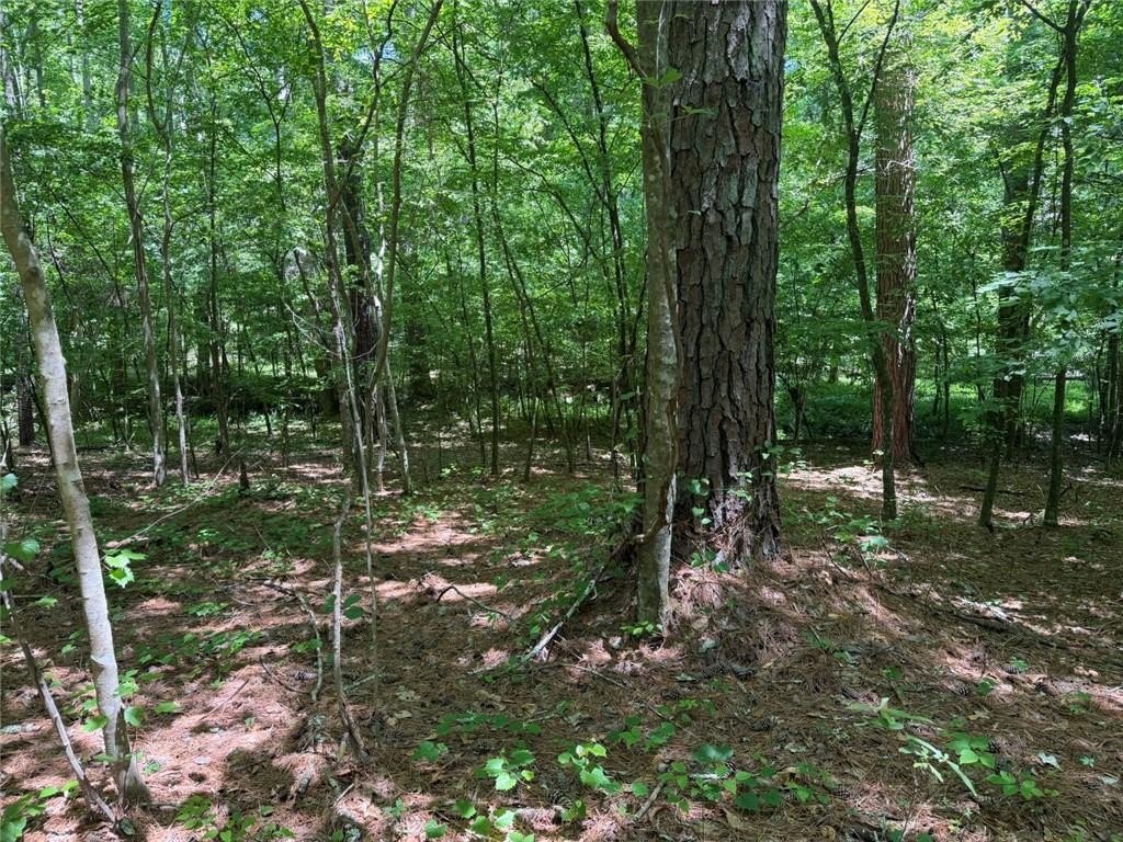 Picture 8