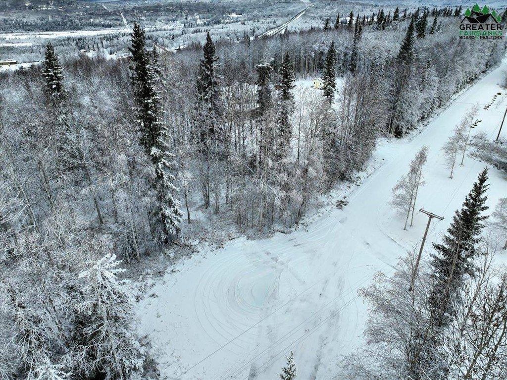 Picture 3
