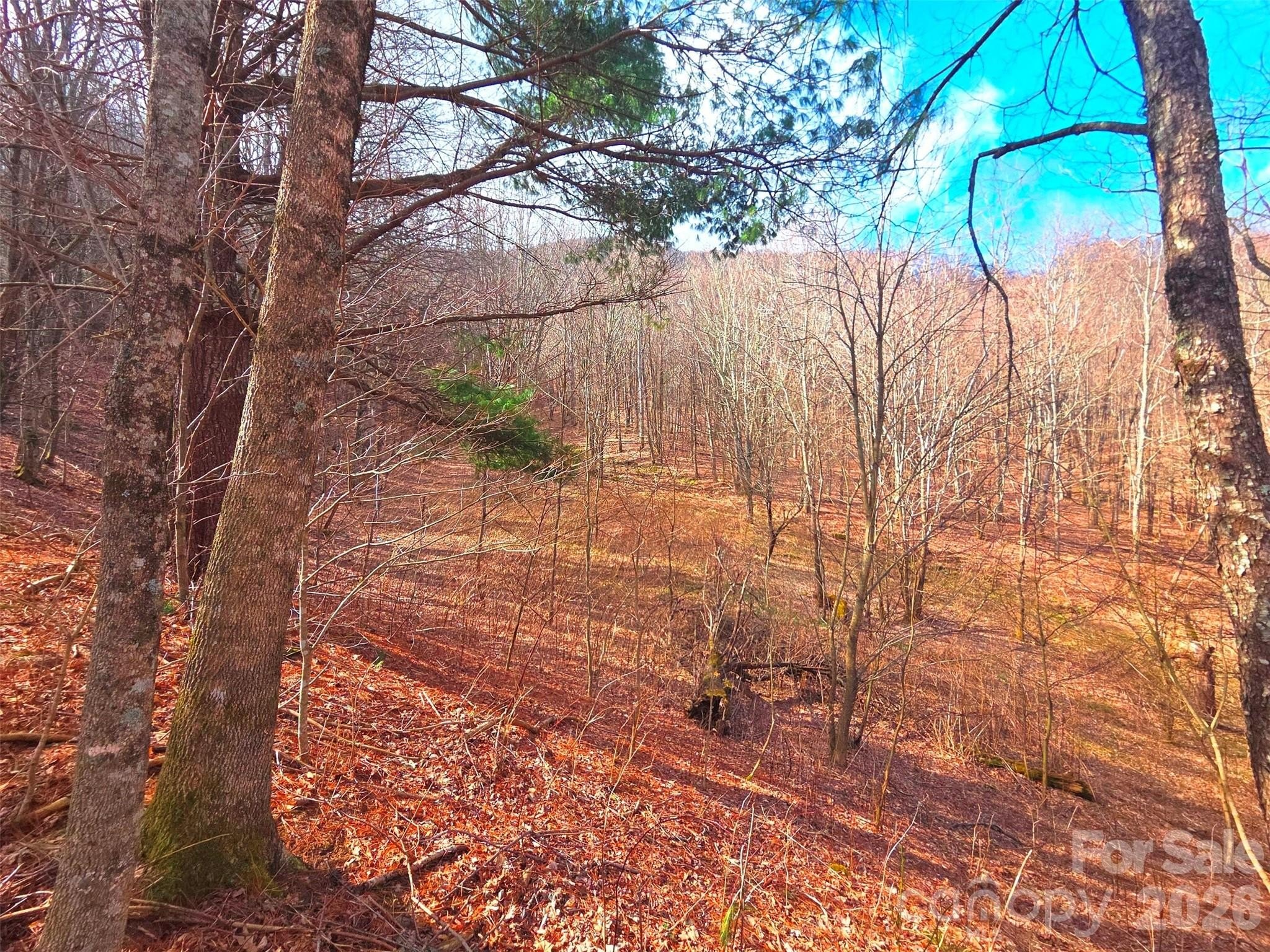 Waynesville Land with Mountain Views