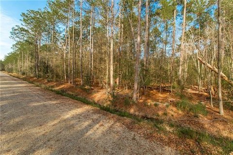 Secluded Wooded Land Near Covington