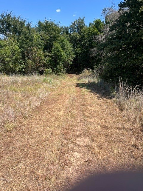 Picture 14