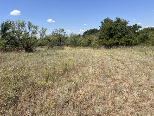 Picture 11