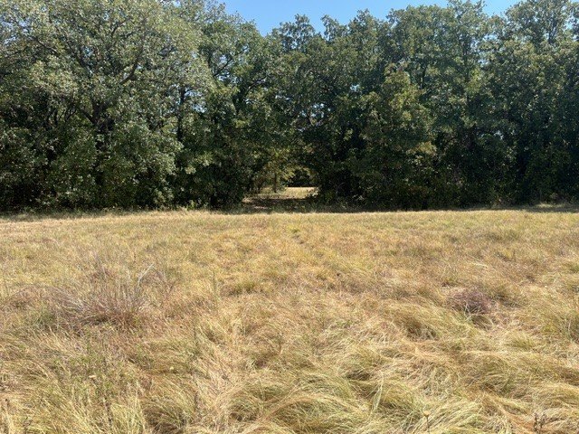Picture 12