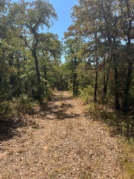 Wooded Agricultural Land