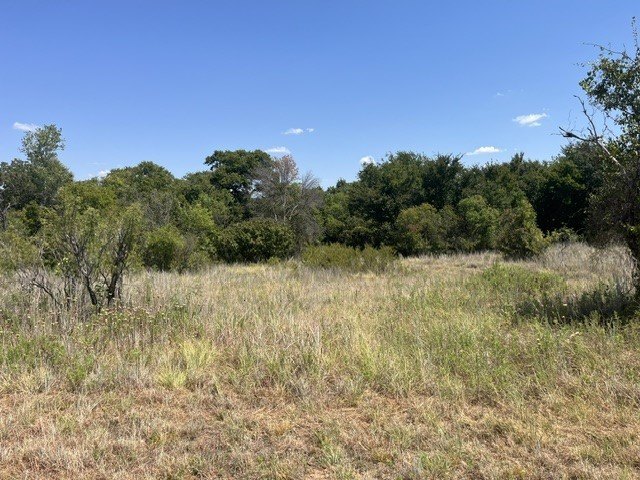 Picture 10