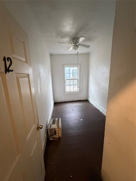 Picture 12