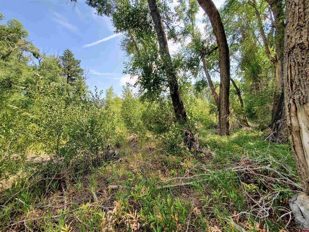 Picture 16