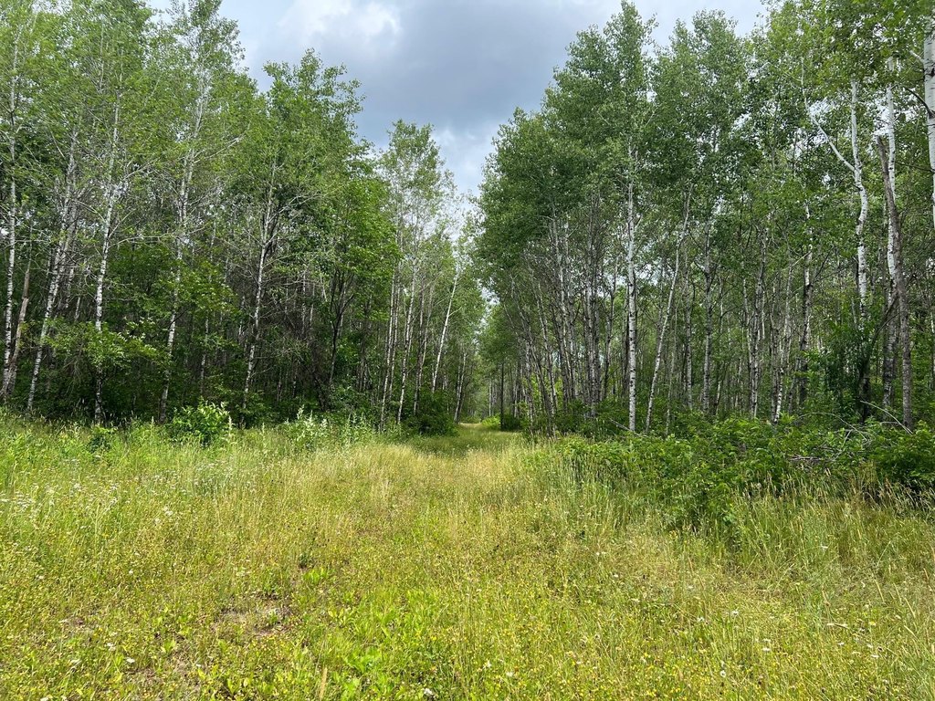 Picture 32