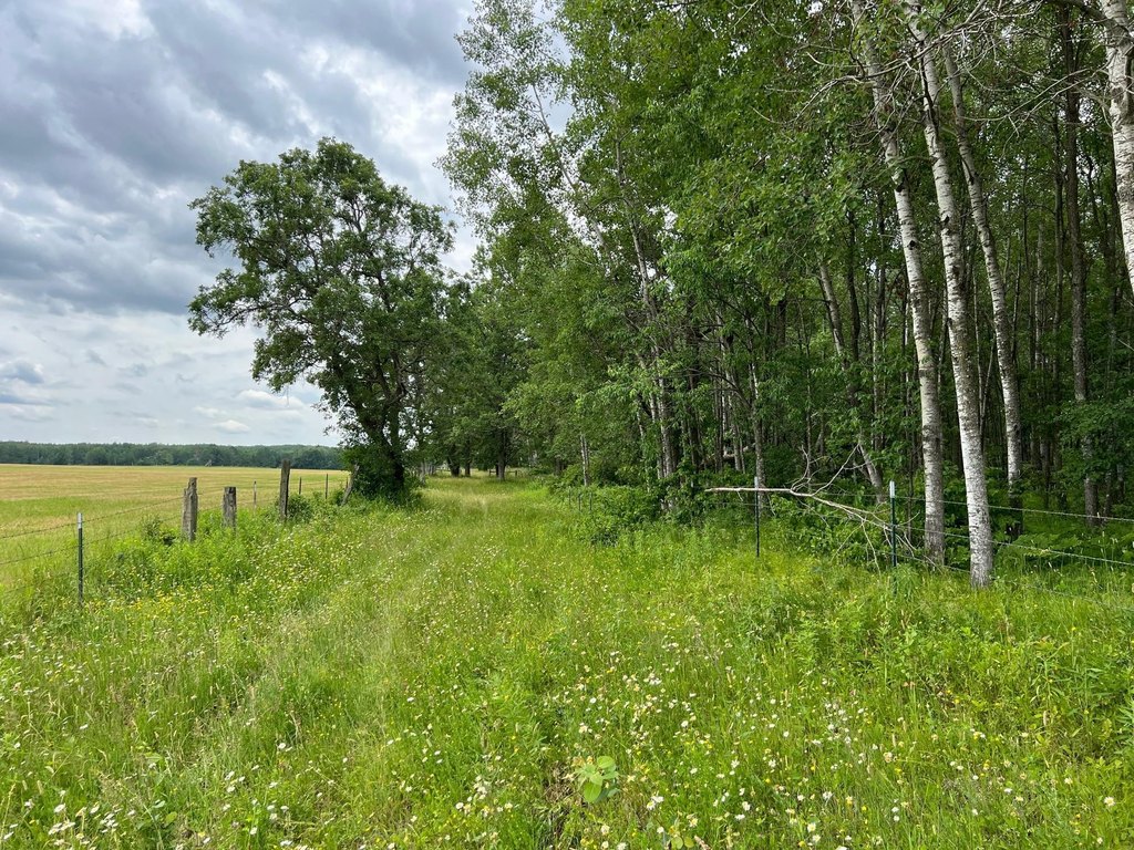 Picture 30