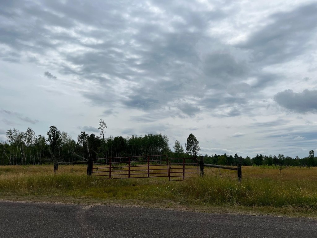 Picture 44