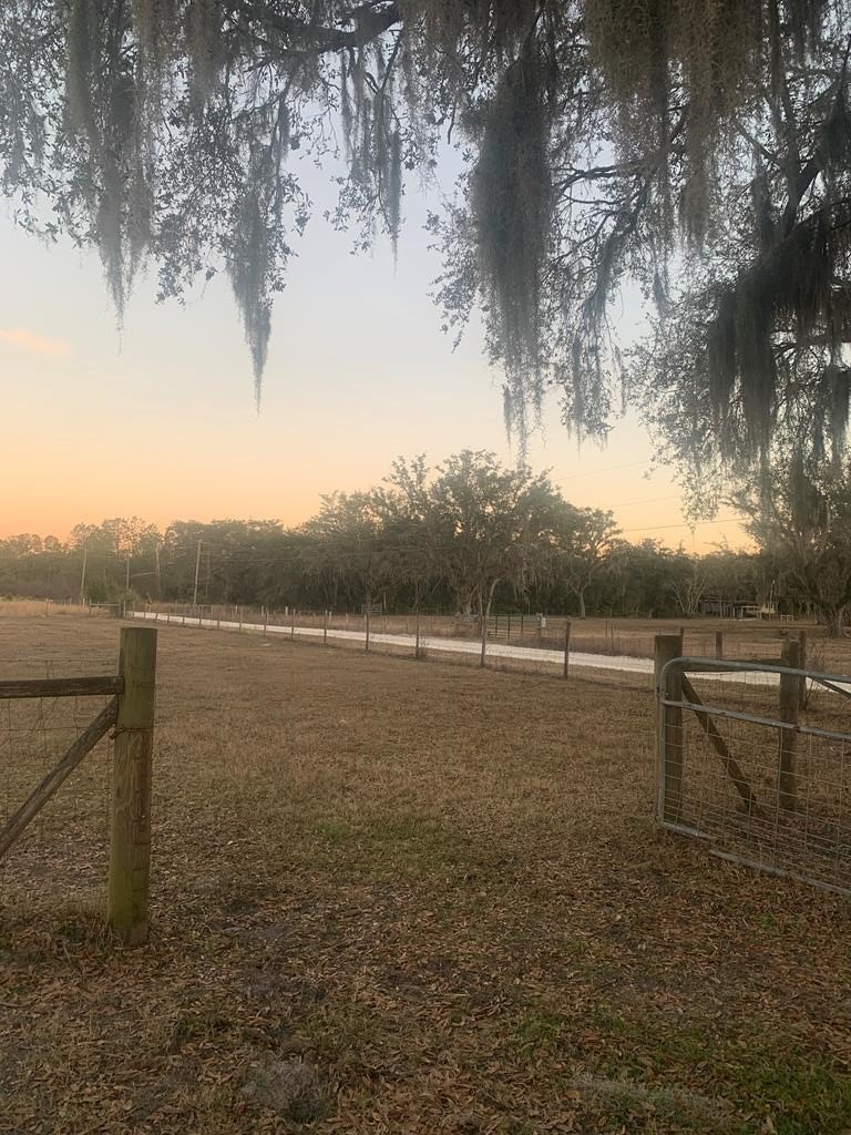 3.3 Acres in Old Town