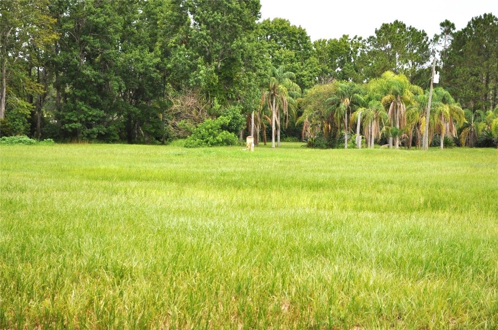 Picture 20