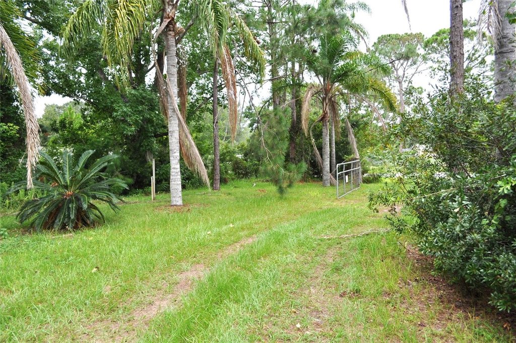 Picture 10