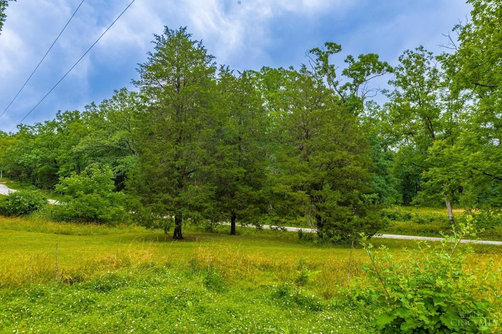 Picture 20