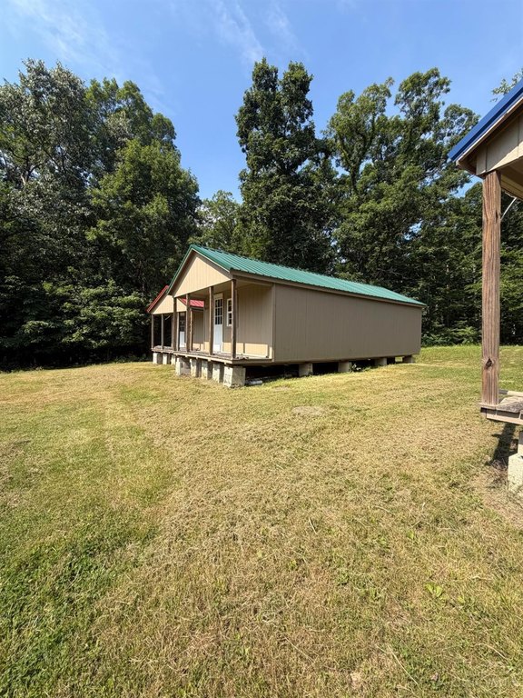 Picture 5