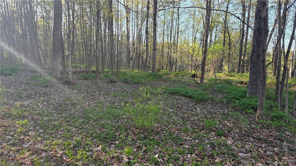 Picture 30