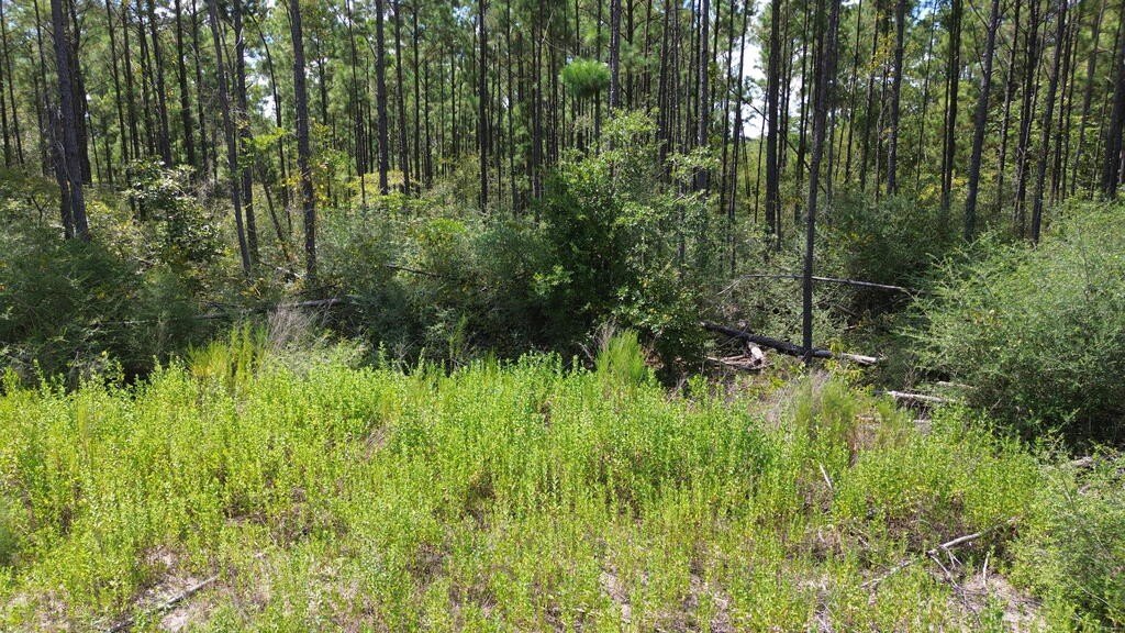 Picture 12