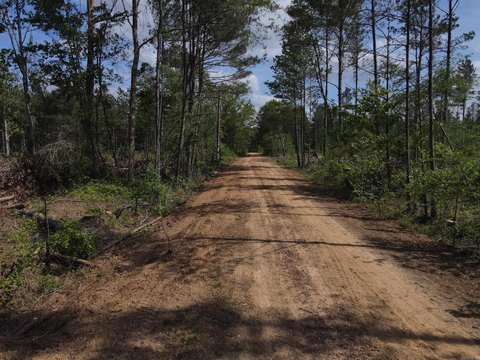 80 Acres Hunting/Timber Investment Land