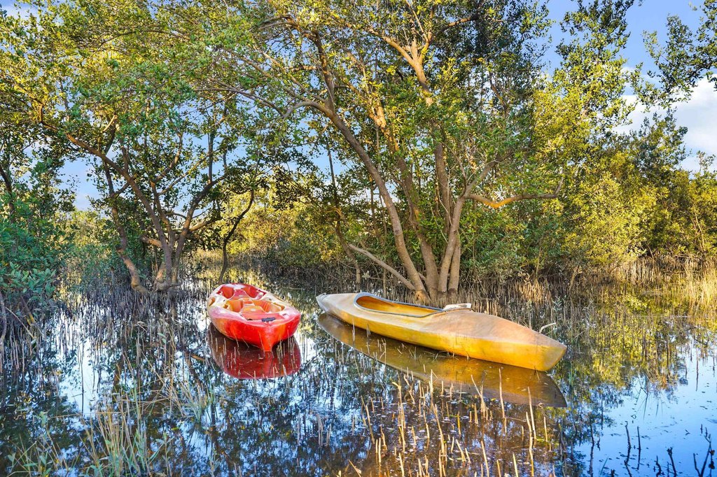 Picture 2