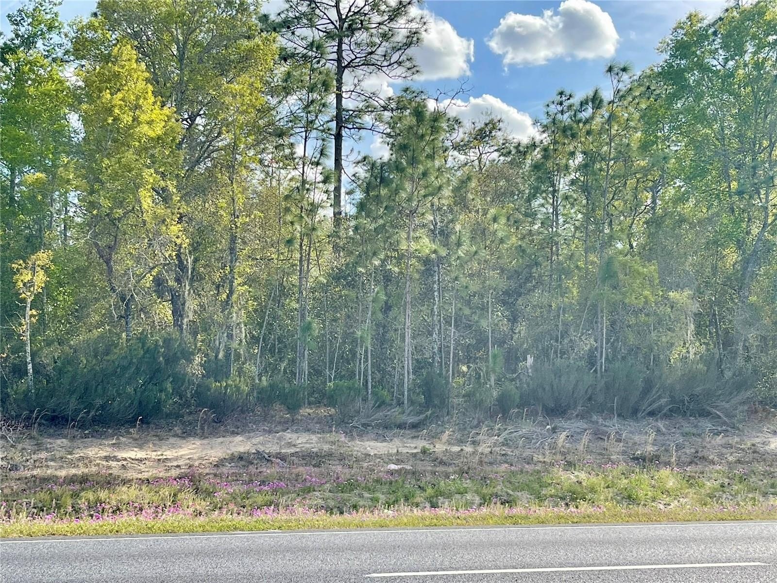 Land on Highway 27