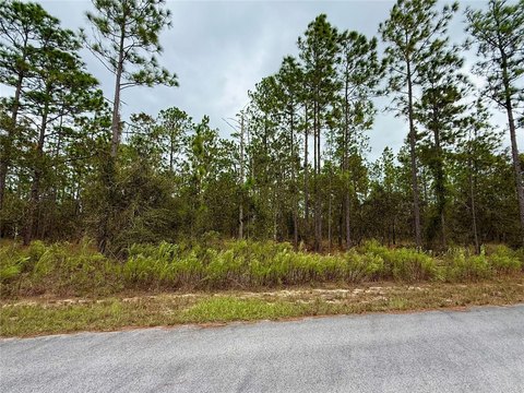 Buildable Lot in Rainbow Lake