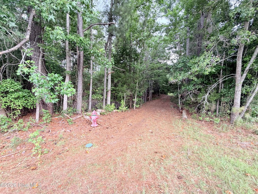 Picture 22