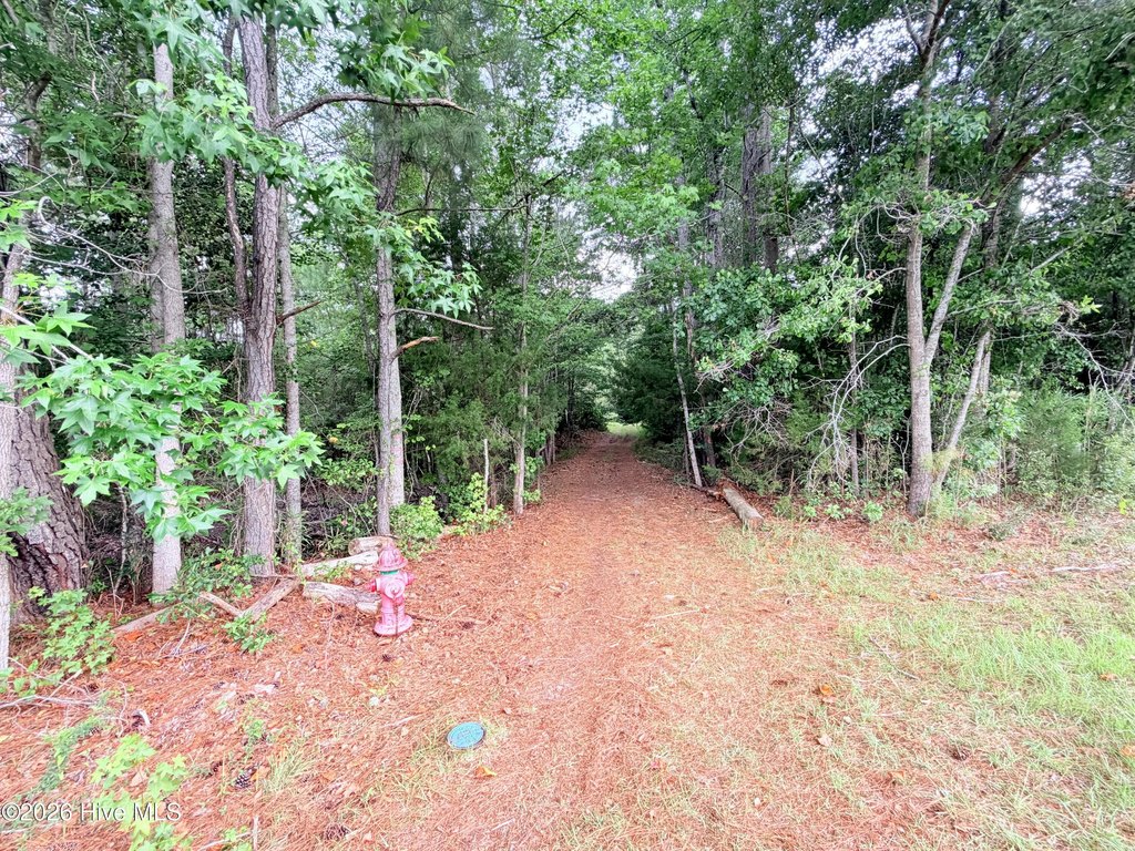 Picture 21