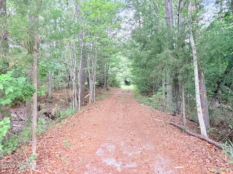 LAND - Sneads Ferry, NC