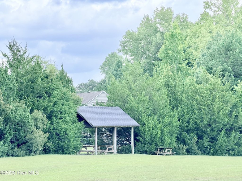 Picture 15