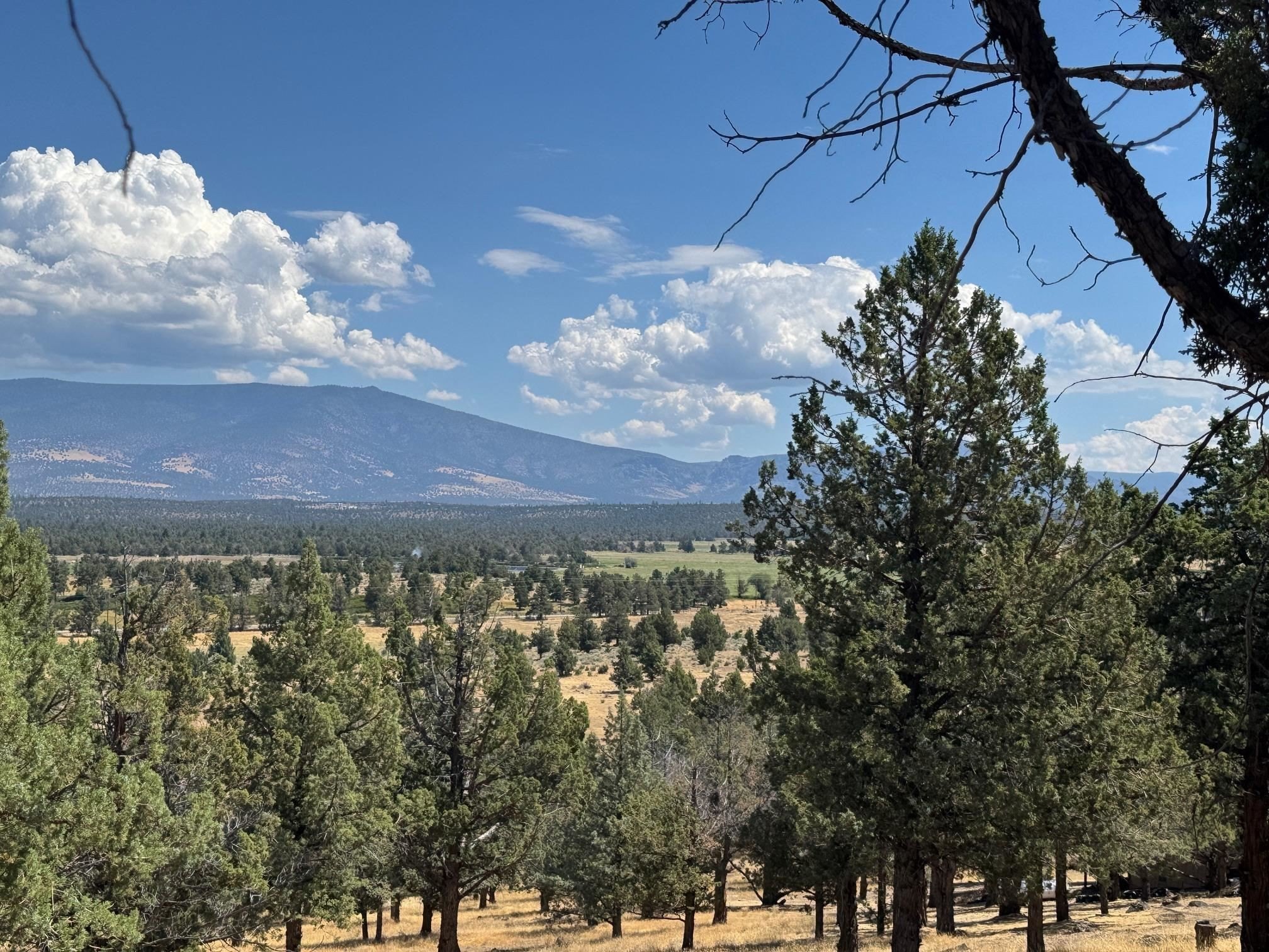 Land with Expansive Views