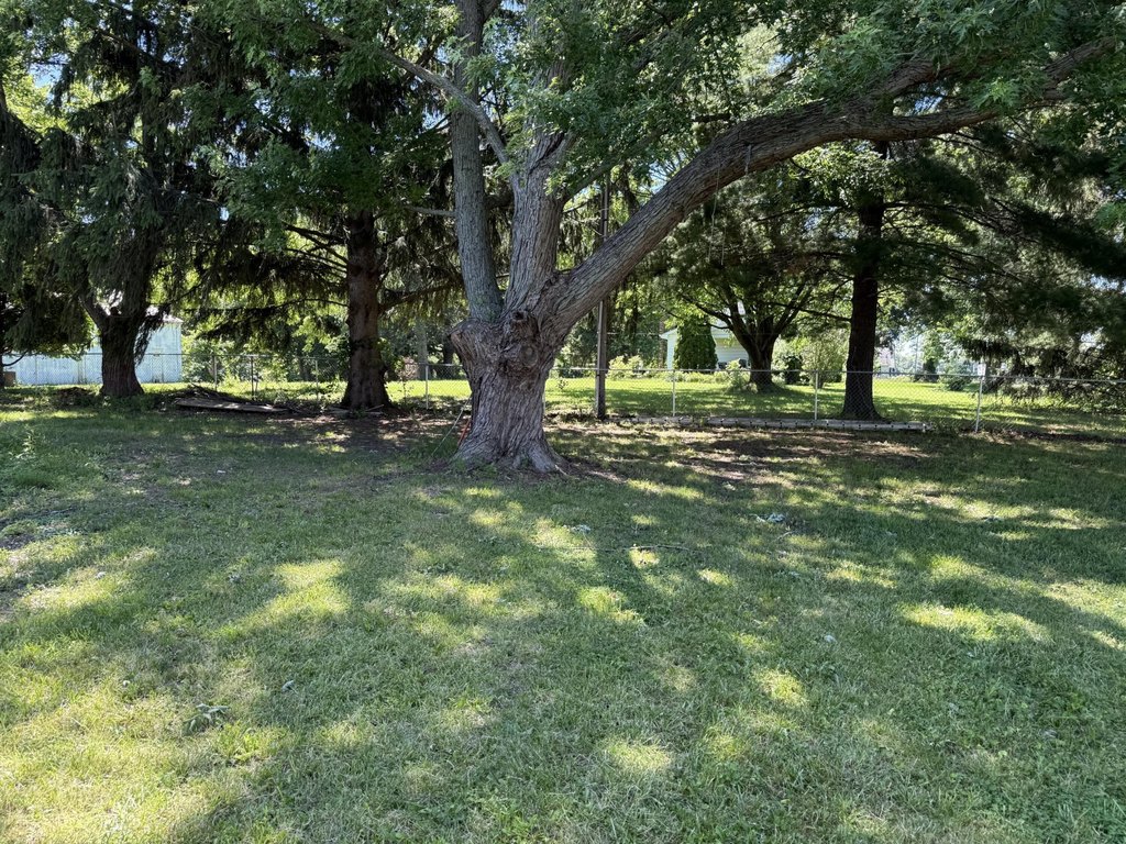 Picture 9