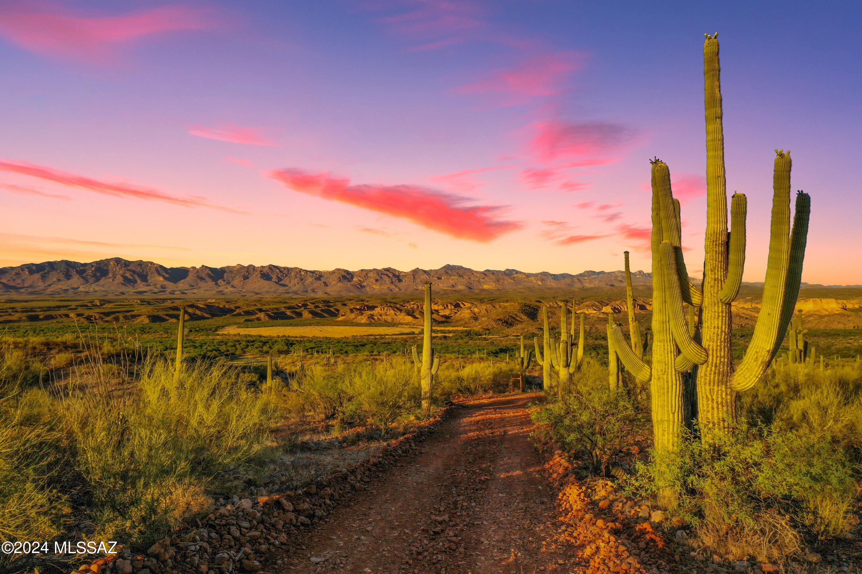 Redington Horse Property with Views