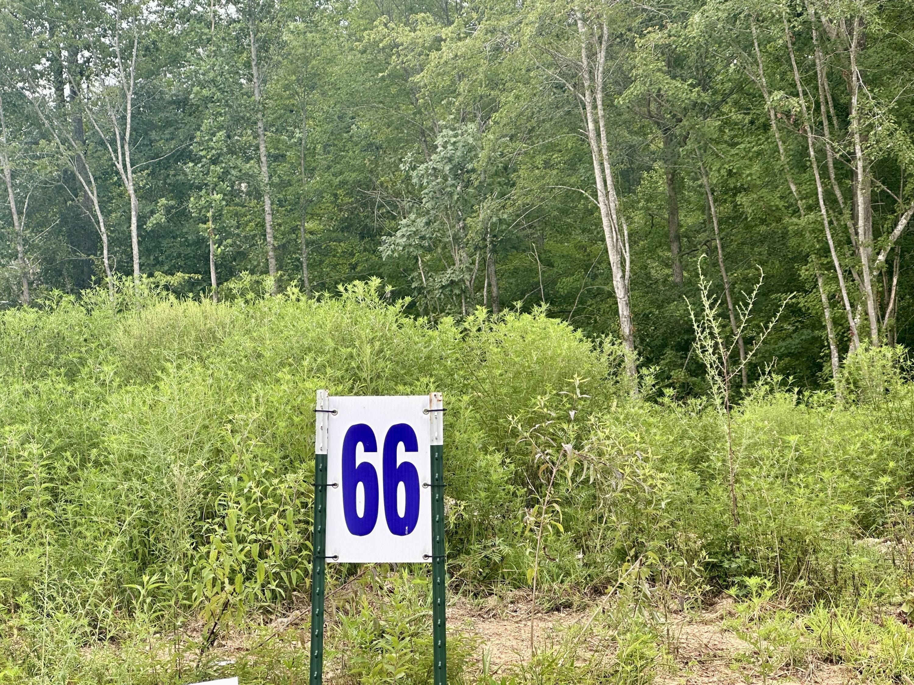 Residential Building Lots in Corbin