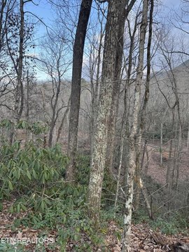 Seymour, TN Land with Views