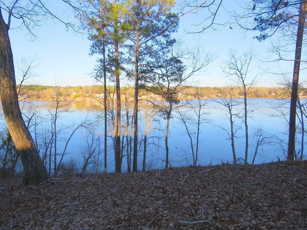 Picture 2