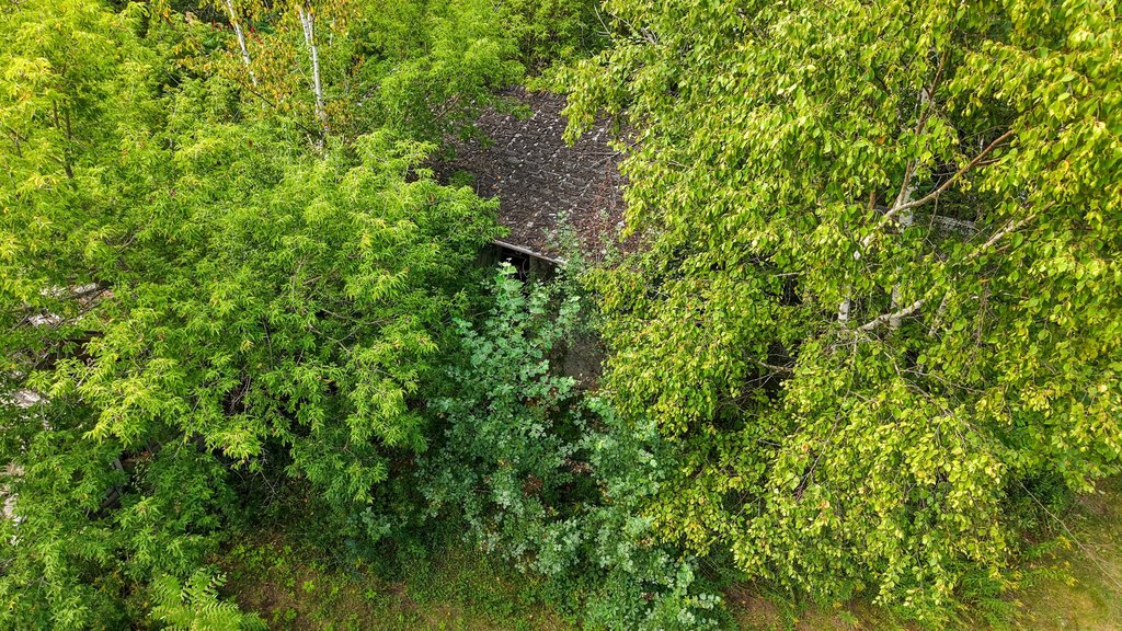 Picture 12