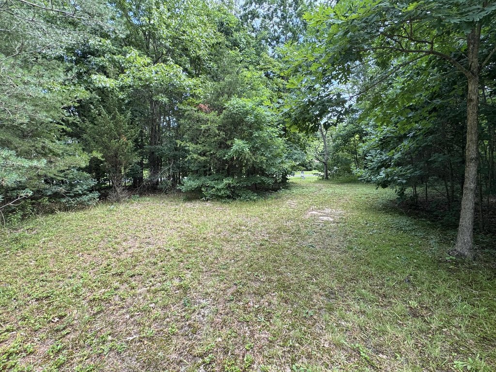 Picture 3