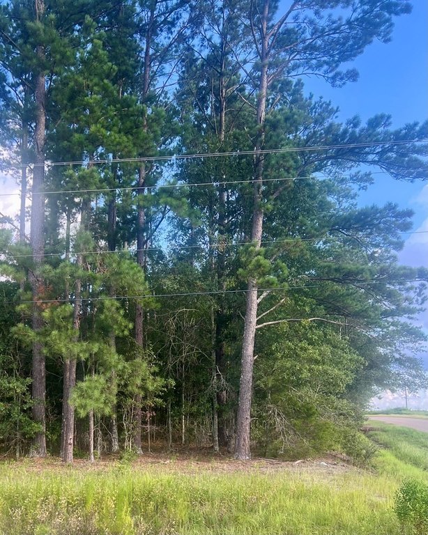 Picture 4