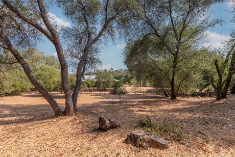 Angels Camp, CA