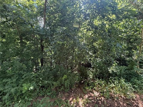 LAND - Gravette, AR
