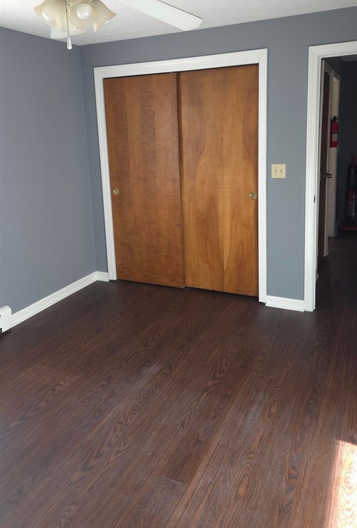 Picture 29