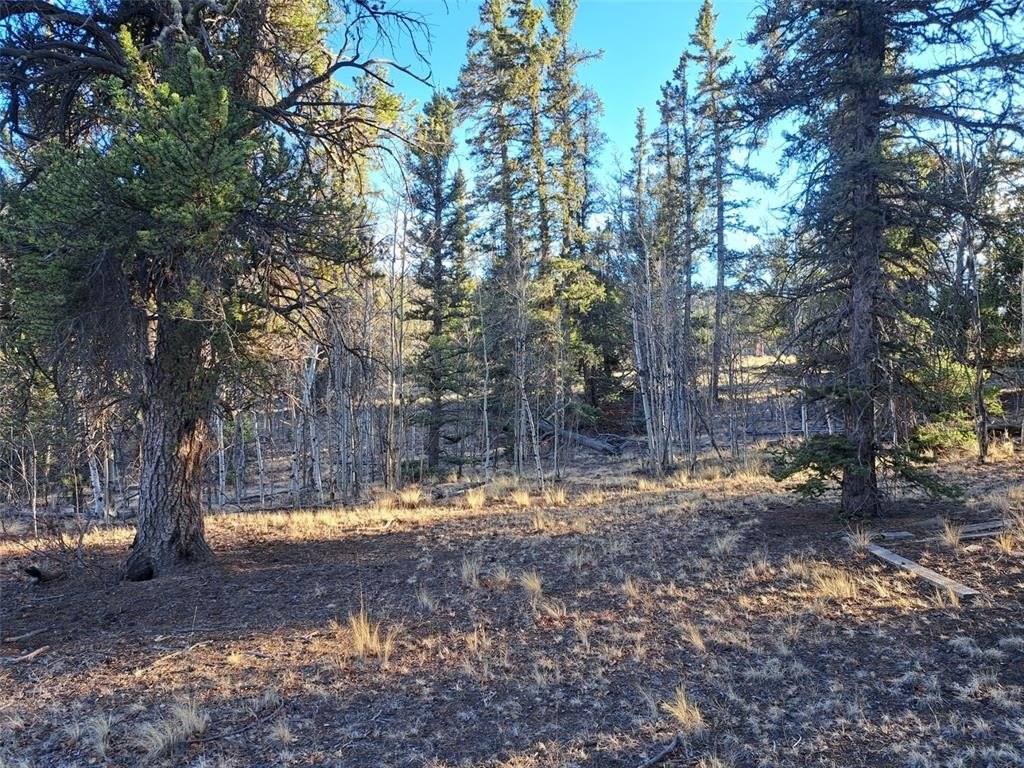 Picture 14